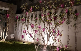 IMG-20190924-WA0016
