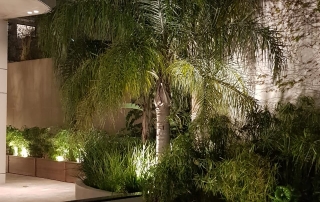 IMG-20190924-WA0017