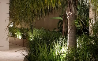 IMG-20190924-WA0019